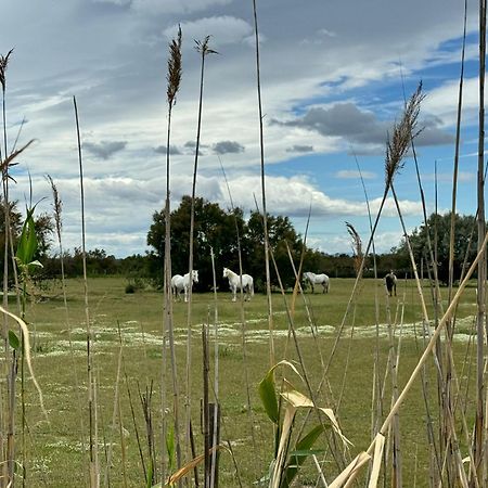 Le Mazet Sooksabai, Confort, Charme Et Decouverte En Petite Camargue Saint-Laurent-dʼAigouze Eksteriør bilde
