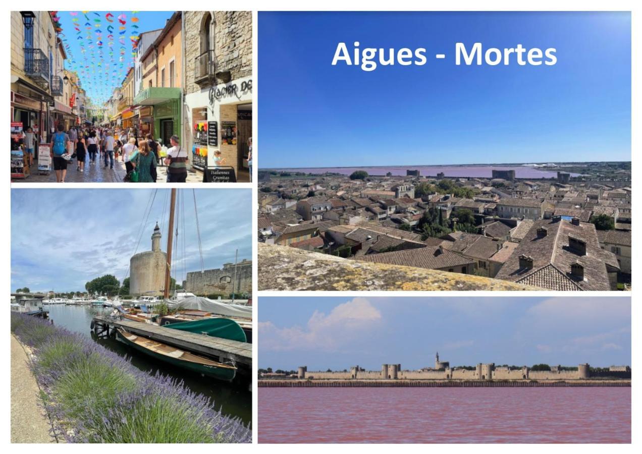 Le Mazet Sooksabai, Confort, Charme Et Decouverte En Petite Camargue Saint-Laurent-dʼAigouze Eksteriør bilde